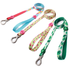High quality personalized Polyester Padded Pet Leash